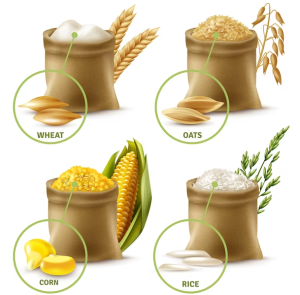 Read more about the article Disadvantages of Eating Oats Daily
