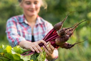 Read more about the article Beetroot Benefits For Female