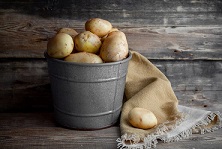 healthy boiled potatoes
